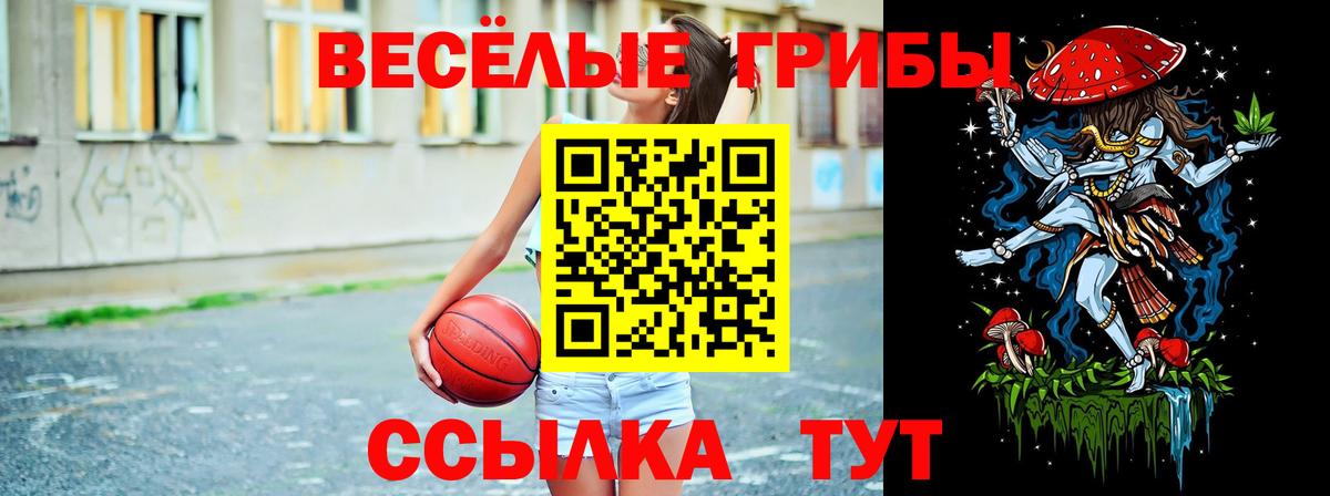 Сургут  Галлюциногенные грибы мухоморы  купить наркоту  Вход с VPN 
