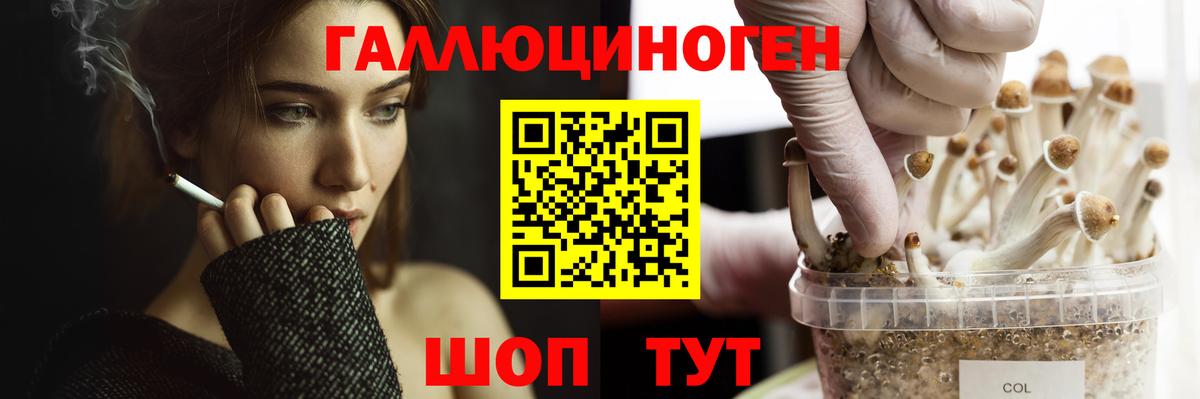 Галлюциногенные грибы мицелий Сургут
